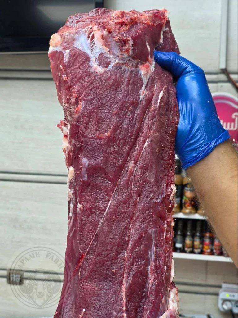 راسته گوساله