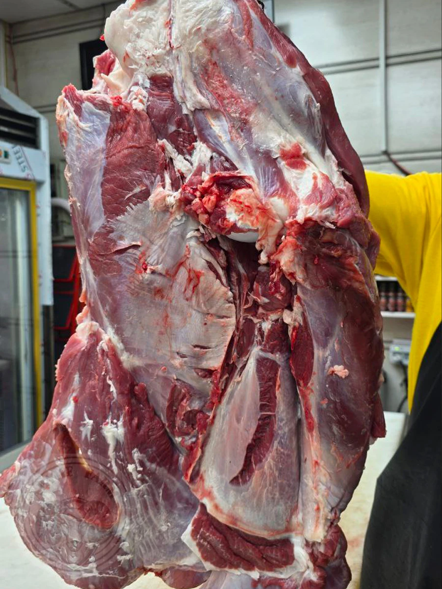 سردست گوساله