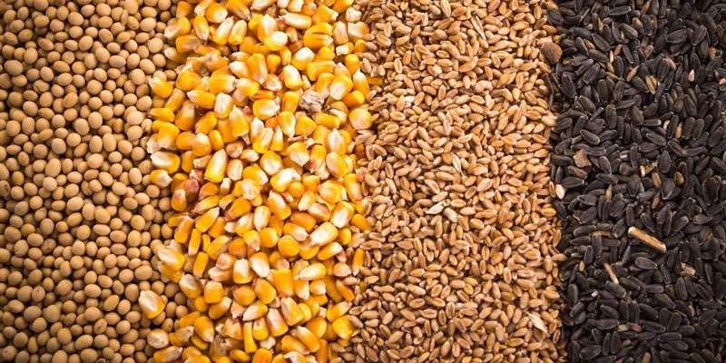 بحران نهاده‌های دامی - چالشی جدی در مسیر تولید