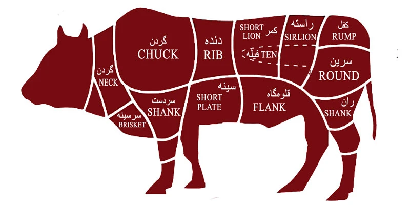 قسمت های مختلف گوشت گوساله