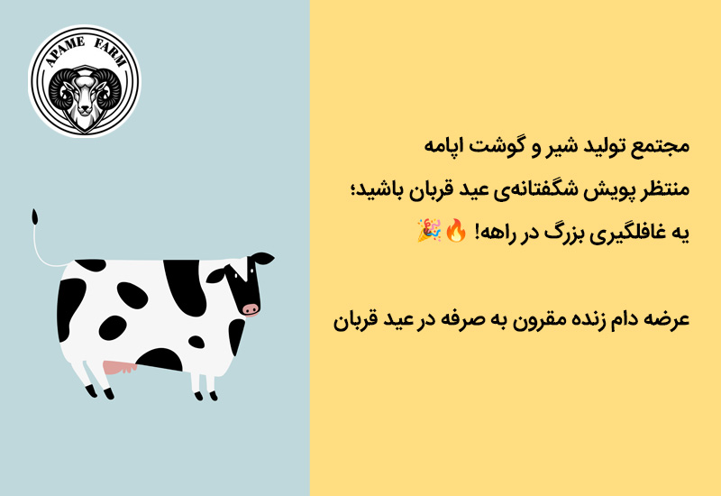 عید قربان - فروش گوسفند