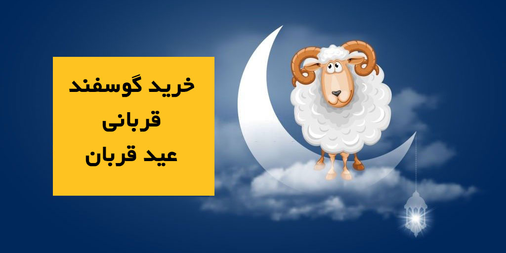 خرید گوسفند زنده برای عید قربان 1405 | راهنمای جامع، از انتخاب تا ذبح با دامداری آپامه